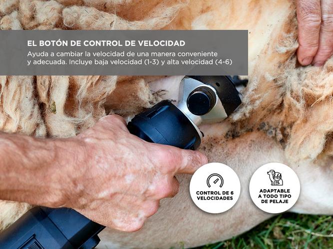 Esquiladora Gadnic S900 Dual Para Animales 500W  Cuchilla Adicional Outlet - 2
