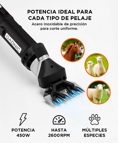 Esquiladora Gadnic S900 Dual Para Animales 500W  Cuchilla Adicional Outlet - 2
