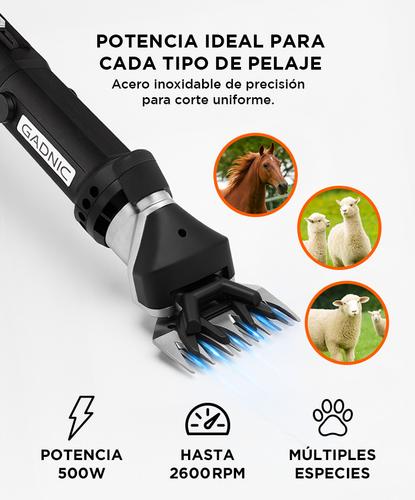 Esquiladora Gadnic S900 Dual Para Animales 350W  Cuchilla Adicional - 2