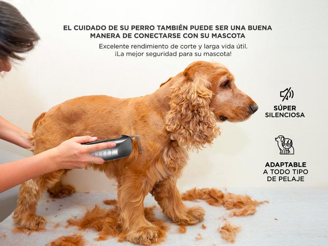 Kit Mascotas Cortadora de Pelo para Perro 220v + Set de Tijeras Caninas - 3