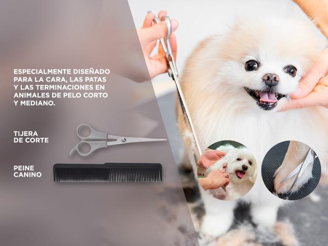 Cortadora de Pelo Canina Gadnic S600 Kit Peintes y Tijera para Perros - 4