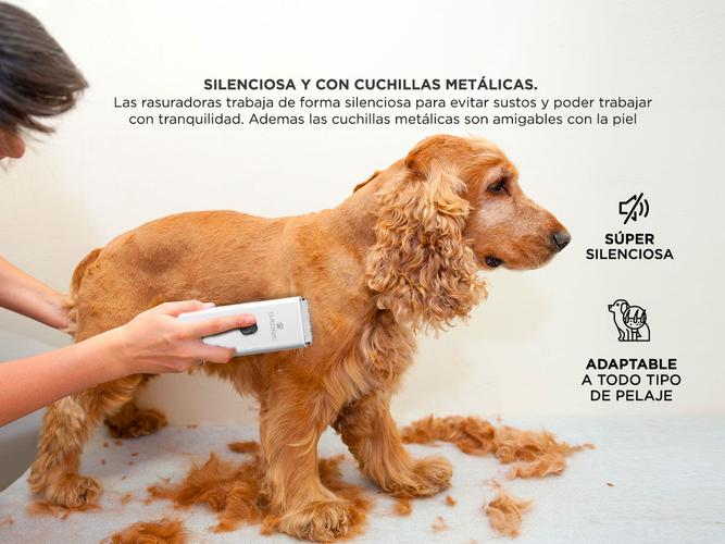 Maquina Para Rasurar Perros Gatos Gadnic + Accesorios de Aseo - 2