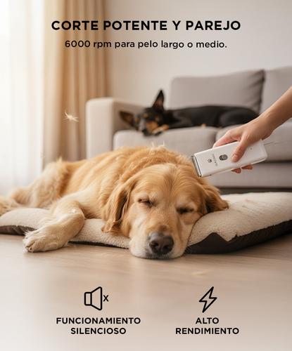 Maquina Para Rasurar Perros Gatos Gadnic + Accesorios de Aseo - 2