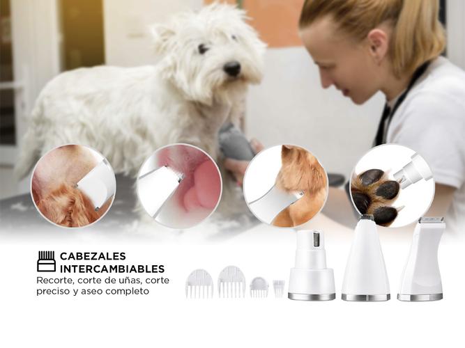 Máquina Cortadora de Pelo Gadnic Aseo Para Mascotas + Accesorios  - 3