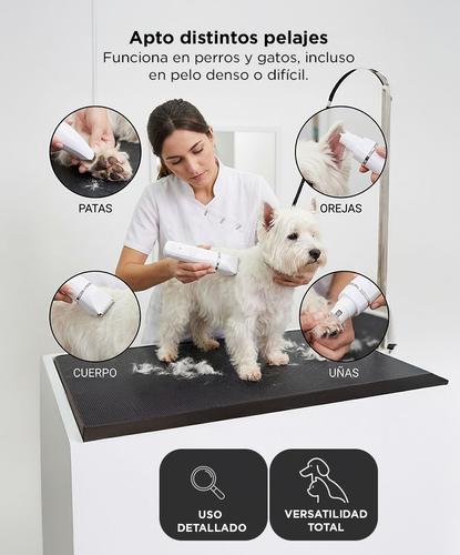 Máquina Cortadora de Pelo Gadnic Aseo Para Mascotas + Accesorios  - 2
