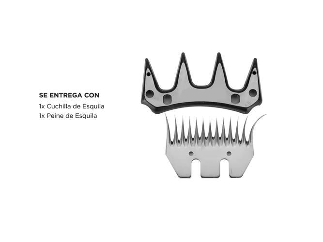 Cuchilla Esquiladora Gadnic 13 Dientes - 5