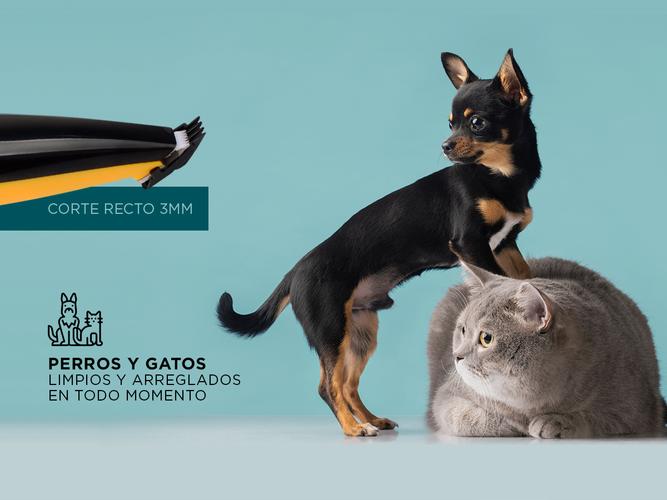 Recortadora Cortadora Gadnic HUE2 Peluquería de Mascotas Usado - 3
