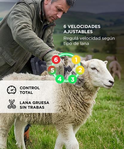 Esquiladora Gadnic Para Animales Grandes 500W 2800 RPM  - 2
