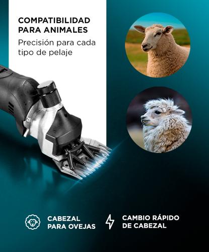 Esquiladora Gadnic Para Animales Grandes 500W 2800 RPM  Outlet - 4