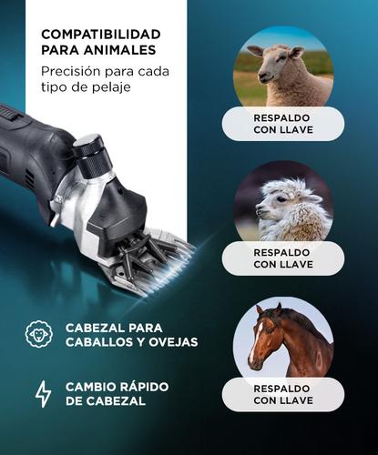 Esquiladora Gadnic Para Animales Grandes 500W 2800 RPM  - 4