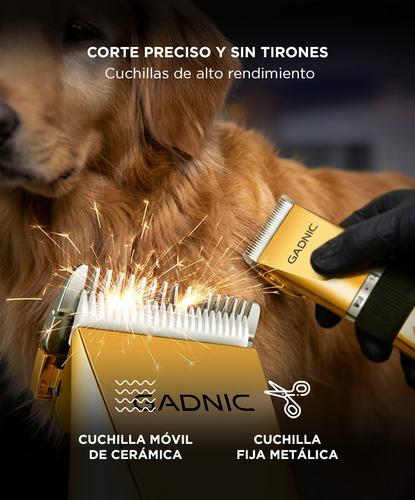 Cortadora De Pelo Mascotas Gadnic Silenciosa Inalámbrica - 3