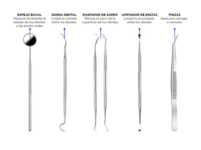 Set de herramientas dentales Gandic Acero inoxidable Estuche - 3