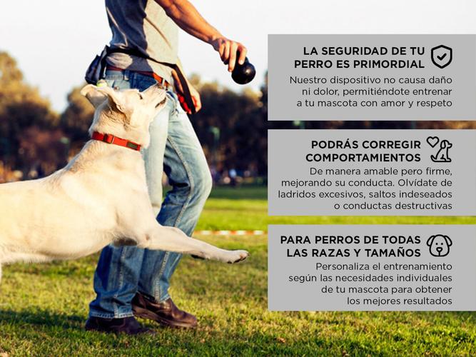 Repelente Ultrasónico para Perros Gadnic Inalámbrico - 3