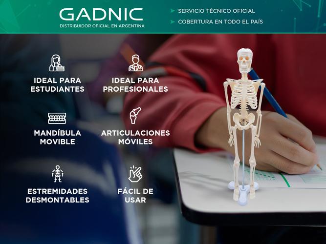 Mini Esqueleto Articulado Gadnic Estudiantes Profesionales - 1