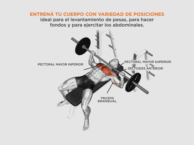 Banco De Ejercicios Regulable Gadnic Multiangular Gym  - 3