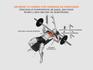 img_FITNES140_3