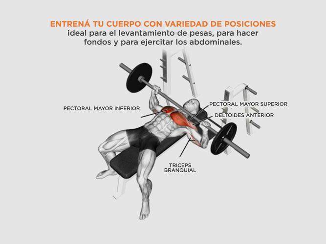 Banco Press Plano Gadnic Regulable Pecho Fondos Abdominales  - 2