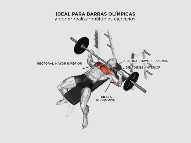 Disco de Goma de 10 Kg Con Agarre Gadnic  - 3