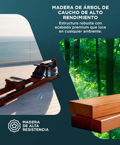 Maquina Simulador de Remo Gadnic SR1000FIT  - 4