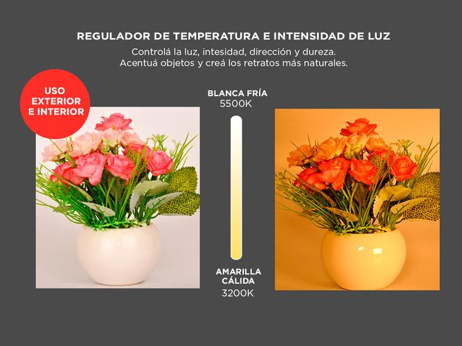 Luz Continua Gadnic F13-9090PH 1300 Lumens - 3