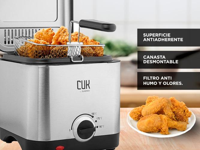 Freidora Eléctrica Gadnic FA15 220V 15 Litros Usado - 4