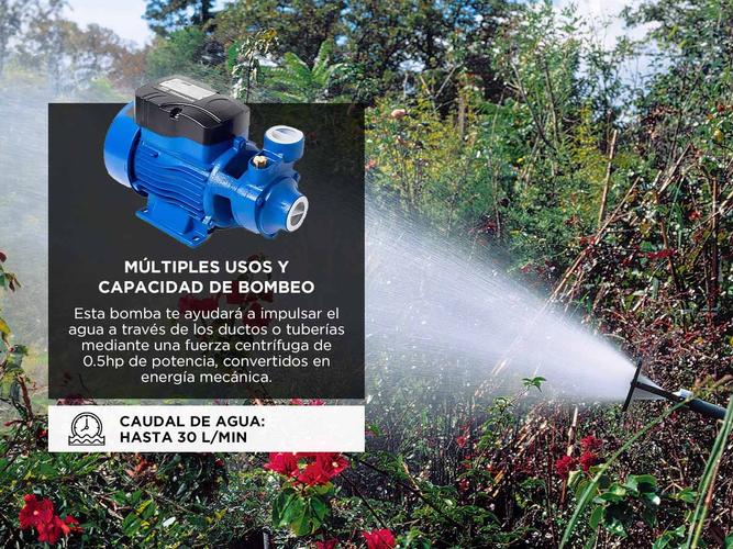 Bomba Periferica Evergreen Gamma QB60 0.5hp 370w  - 2