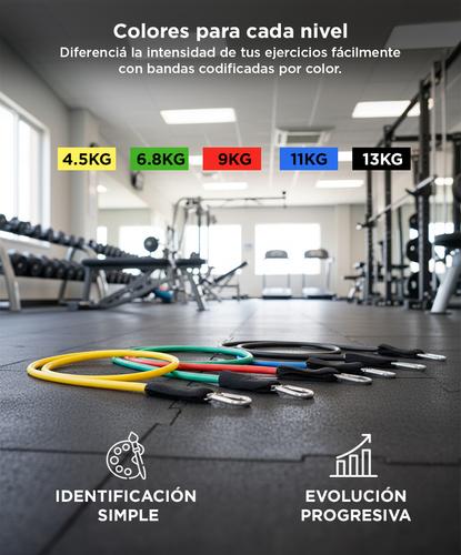 Bandas Elásticas Gadnic Kit x5 1.2mts 5 Intensidades + Anclajes y Accesorios - 2