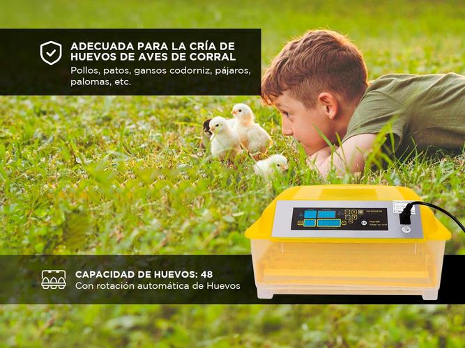 Incubadora de Huevos Automática Gadnic   - 3