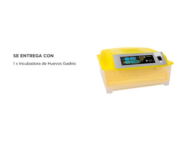 Incubadora de Huevos Automática Gadnic   - 6