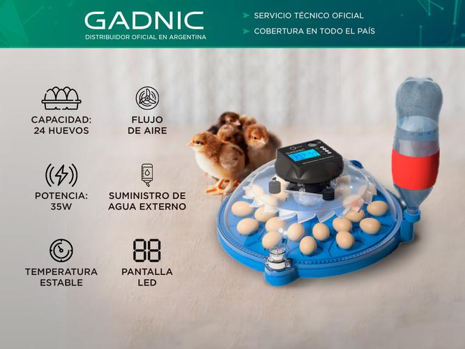 Incubadora de Huevos Gadnic 24 Huevos Temperatura Estable Outlet - 1