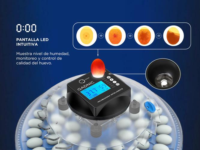 Incubadora de Huevos Gadnic 24 Huevos Temperatura Estable Outlet - 2
