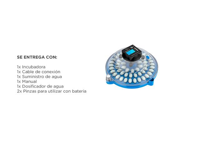 Incubadora de Huevos Gadnic 24 Huevos Temperatura Estable - 6
