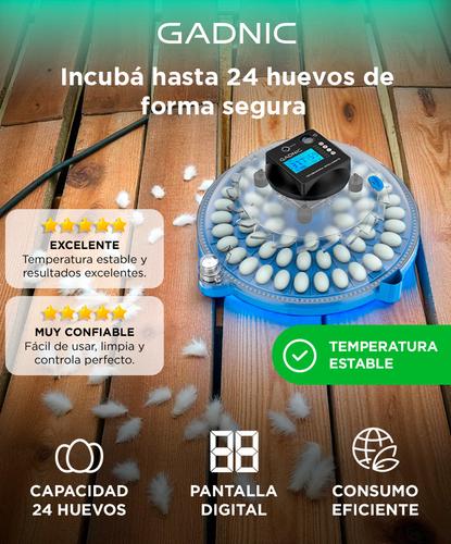 Incubadora de Huevos Gadnic 24 Huevos Temperatura Estable - 1