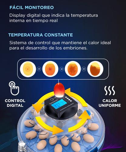 Incubadora de Huevos Gadnic 24 Huevos Temperatura Estable - 2