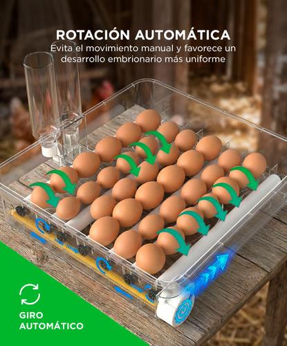Incubadora de Huevos Automatica Gadnic Capacidad 108 Huevos Expandible Ovoscopio Giro Automático - 3