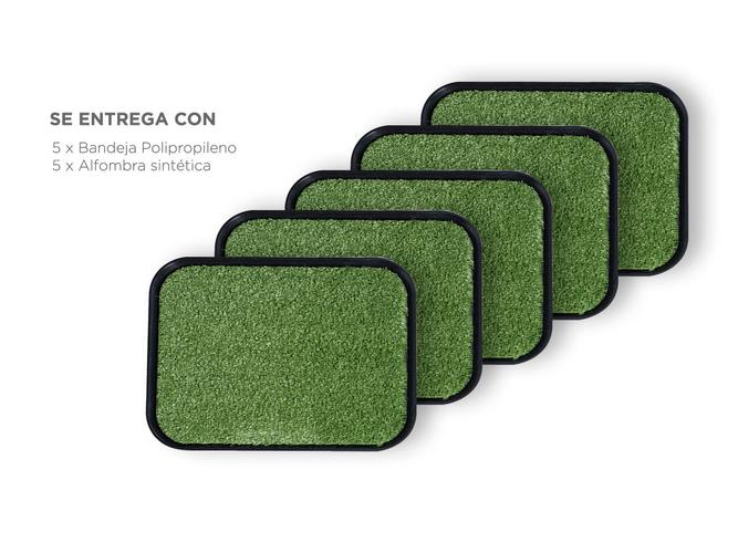 Alfombra Sanitizante Gadnic Desmontable AL5.0 x 5u - 6