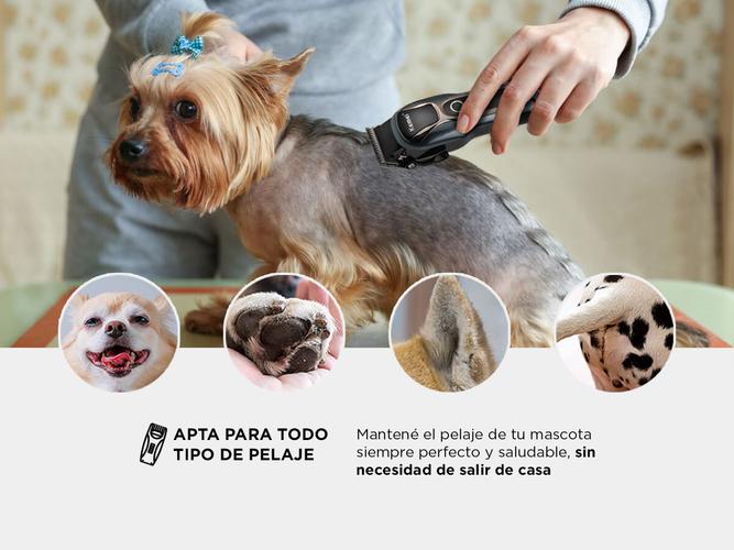 Máquina Cortadora de Pelo Gadnic  Para Mascotas  Accesorios  Usado - 2