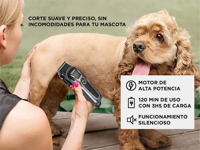 Máquina Cortadora de Pelo Gadnic  Para Mascotas  Accesorios  Usado - 4