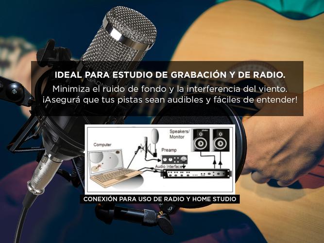 Kit x2 Micrófono Condensador Gadnic + Accesorios - 3
