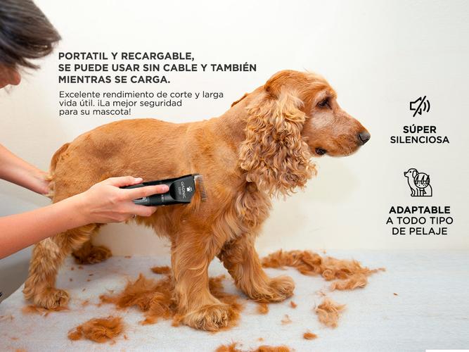 KIT Peluqueria Perro Peladora Canina + Tijeras profesionales - 2