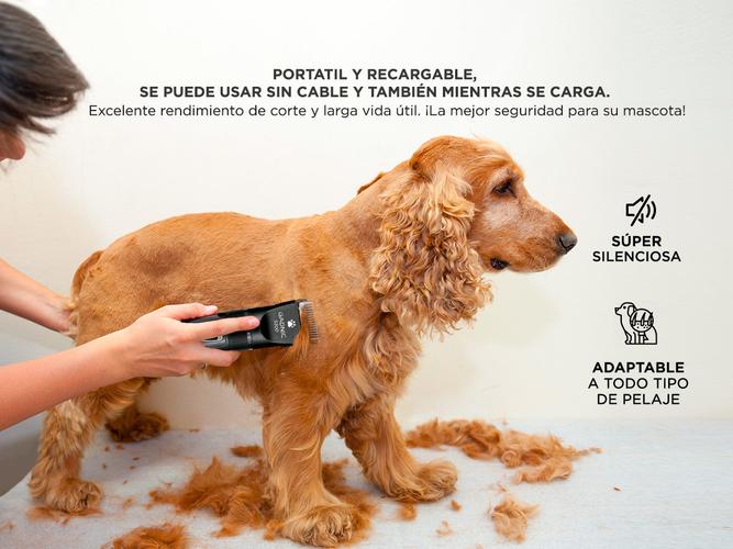 Kit peluqueria Canina Peladora + Lima Electrica + Tijeras Gadnic - 4