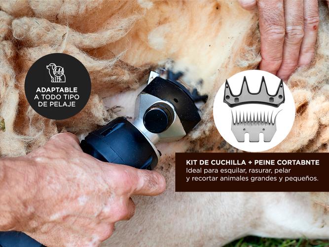 Kit Esquiladora Gadnic S900 Dual Para Animales + repuesto Cuchilla 13 Dientes - 3
