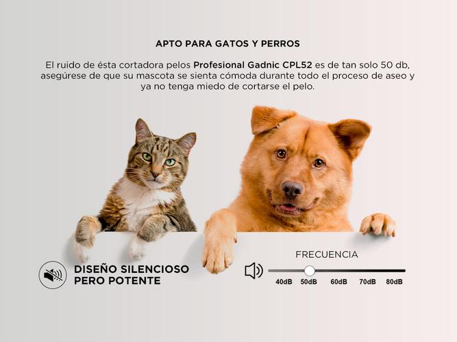 Kit Cortadora de Pelo Canino Gadnic CPL52 + Tijeras Peluquería Canina  - 2