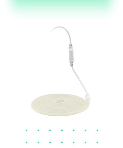 Tira LED Silicona GADNIC 120LED 5 mts Neón  - 4