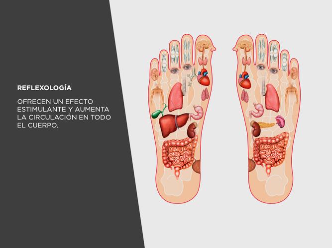 Kit Rodillo De Reflexología Gadnic Bolas Masajeadoras Fascitis Rehabilitacion - 3
