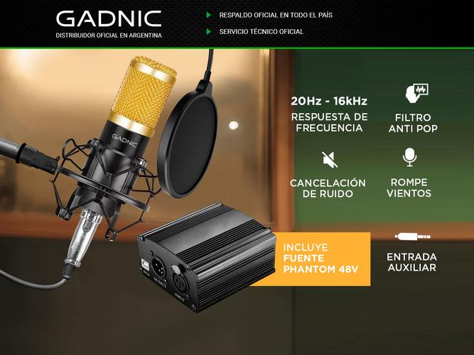 Kit Microfono Profesional Condenser Con Brazo + Phanton 20hz  - 1