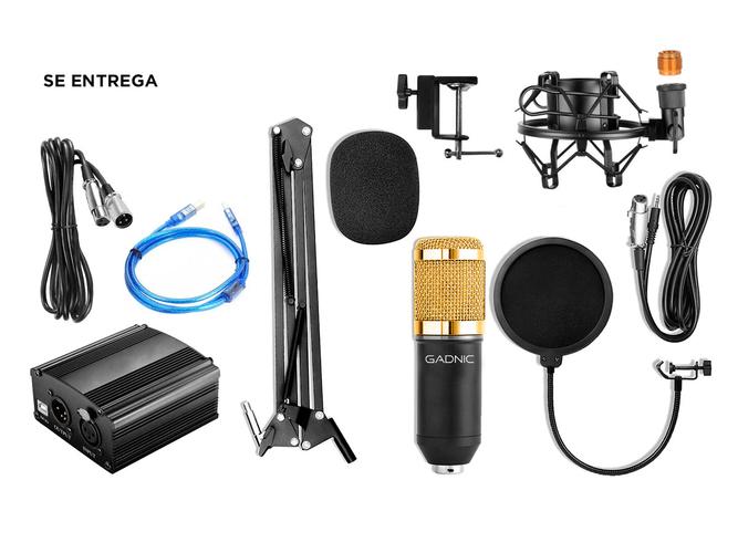 Kit Microfono Profesional Condenser Con Brazo + Phanton 20hz  - 6