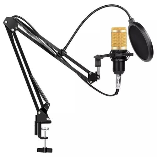 Micrófono Condenser Gadnic GM-800 USB Profesional Con Brazo Articulado - 0