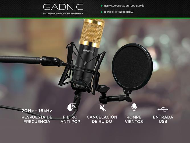Micrófono Condenser Gadnic GM-800 USB Profesional Con Brazo Articulado - 1