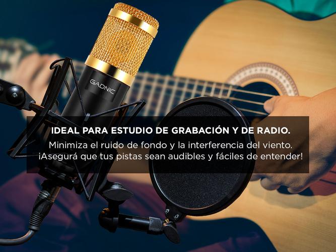 Micrófono Condenser Gadnic GM-800 USB Profesional Con Brazo Articulado - 2